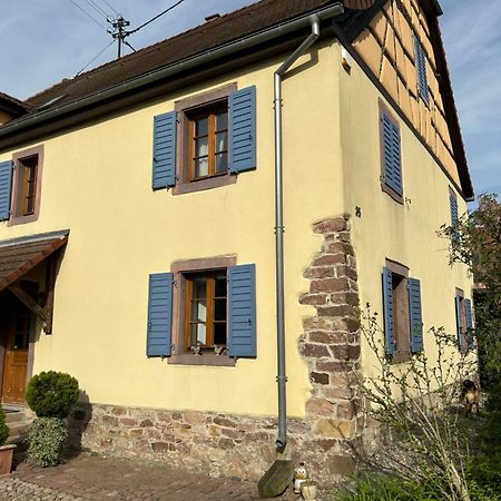 Gite La Maison De Jules Muntzenheim Exterior foto